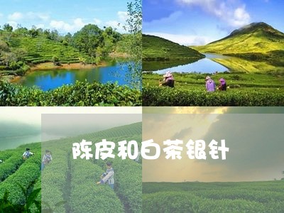 陈皮和白茶银针/2023061152725