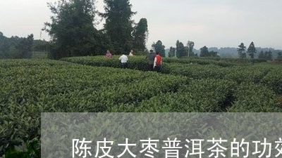 陈皮大枣普洱茶的功效/2023080190404