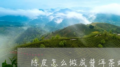 陈皮怎么做成普洱茶好喝/2023110190603