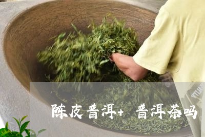 陈皮普洱+普洱茶吗/2023091580693