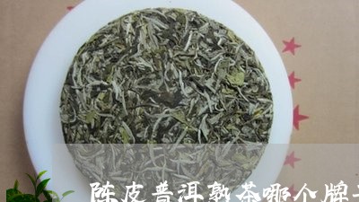 陈皮普洱熟茶哪个牌子好普洱陈皮茶/2023060317351