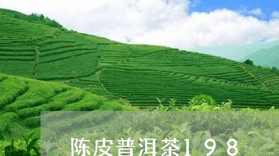 陈皮普洱茶198/2023120458583