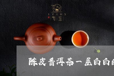 陈皮普洱茶一层白白的/2023061838602