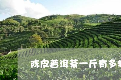 陈皮普洱茶一斤有多粒/2023092742714