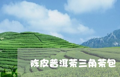 陈皮普洱茶三角茶包/2023062272624