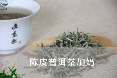 陈皮普洱茶加奶/2023101667173