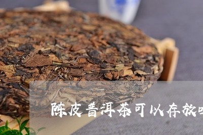 陈皮普洱茶可以存放吗/2023080294059