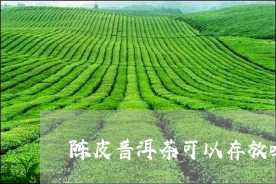 陈皮普洱茶可以存放吗/2023100671832