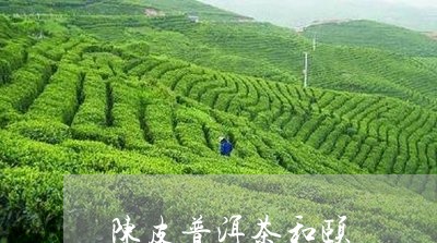 陈皮普洱茶和颐/2023110929503