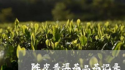 陈皮普洱茶品茶记录/2023091459482