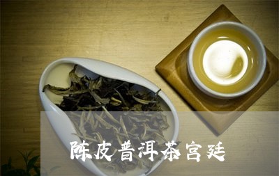 陈皮普洱茶宫廷/2023110929482