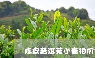 陈皮普洱茶小青柑价钱/2023062431048