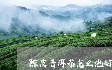 陈皮普洱茶怎么泡好喝视频讲解/2023053018262