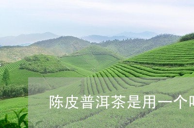 陈皮普洱茶是用一个吗/2023092505939