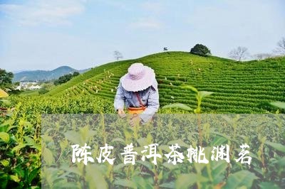 陈皮普洱茶桃渊茗/2023102646061