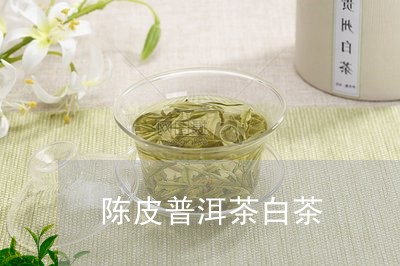 陈皮普洱茶白茶/2023112554038