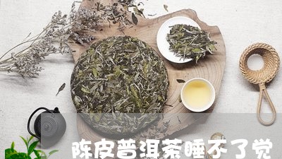 陈皮普洱茶睡不了觉/2023080136248