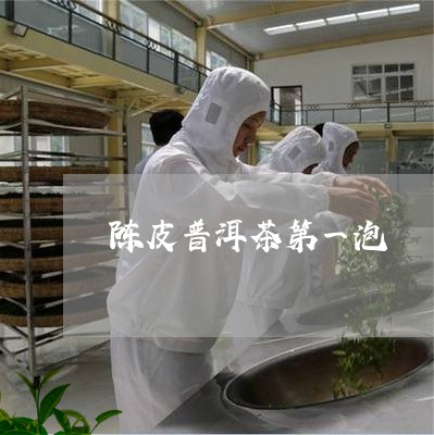 陈皮普洱茶第一泡/2023120471794