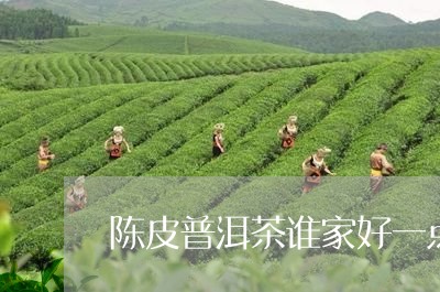 陈皮普洱茶谁家好一点/2023092706350