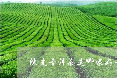 陈皮普洱茶选哪家好一点/2023050417836