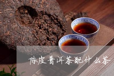 陈皮普洱茶配什么茶/2023091570494