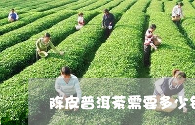 陈皮普洱茶需要多少钱/2023062196170