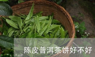 陈皮普洱茶饼好不好/2023120544816