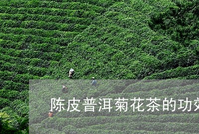 陈皮普洱菊花茶的功效/2023092507957