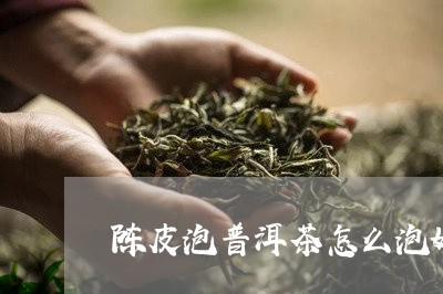 陈皮泡普洱茶怎么泡好/2023062325938