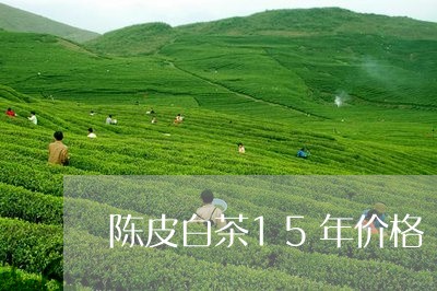 陈皮白茶15年价格/2023071371894