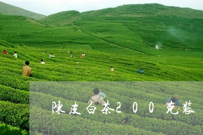 陈皮白茶200克装/2023063070493