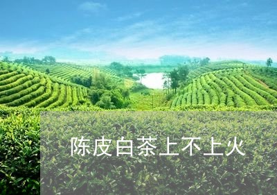 陈皮白茶上不上火/2023071375038