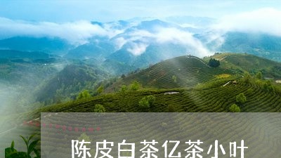 陈皮白茶亿茶小叶/2023071327151