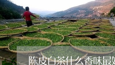 陈皮白茶什么香味最好听/2023063070695