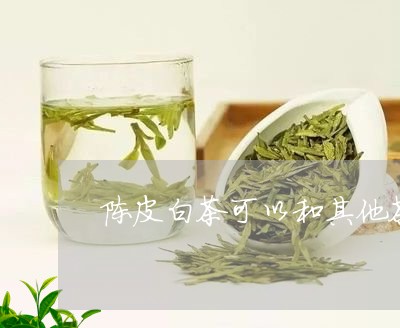 陈皮白茶可以和其他茶叶一起煮/2023063062047