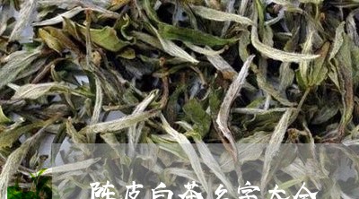 陈皮白茶名字大全/2023071336581