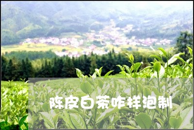 陈皮白茶咋样泡制/2023071322736