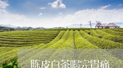 陈皮白茶喝完胃痛/2023063063924