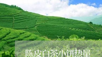 陈皮白茶小饼热量/2023071389503