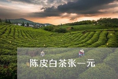 陈皮白茶张一元/2023061032935