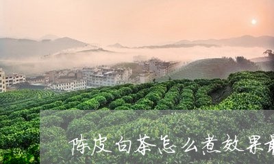 陈皮白茶怎么煮效果最好喝呢/2023111464930