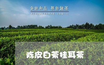 陈皮白茶挂耳茶/2023061142603