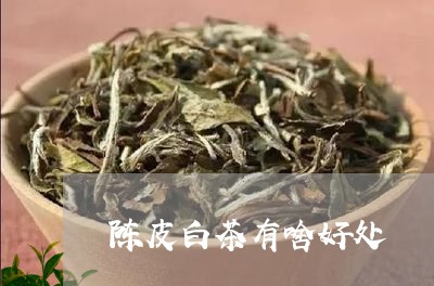 陈皮白茶有啥好处/2023071245181