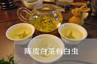 陈皮白茶有白虫/2023063037270