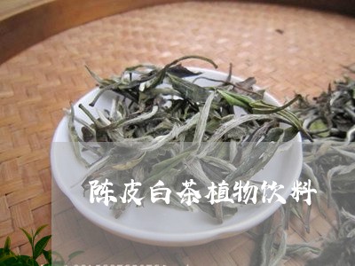 陈皮白茶植物饮料/2023071292726