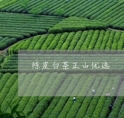 陈皮白茶正山优选/2023071253614