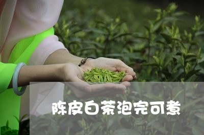 陈皮白茶泡完可煮/2023071294047