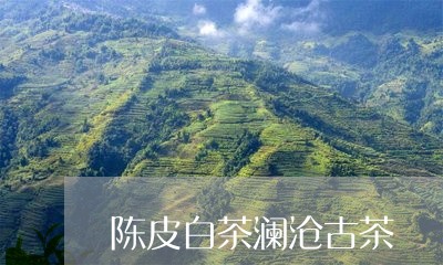 陈皮白茶澜沧古茶/2023071233806