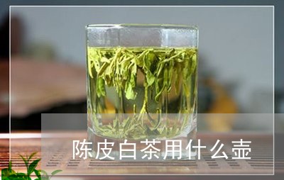 陈皮白茶用什么壶/2023071245936