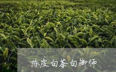 陈皮白茶白御师/2023063003814